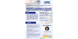 workshop stroz 2